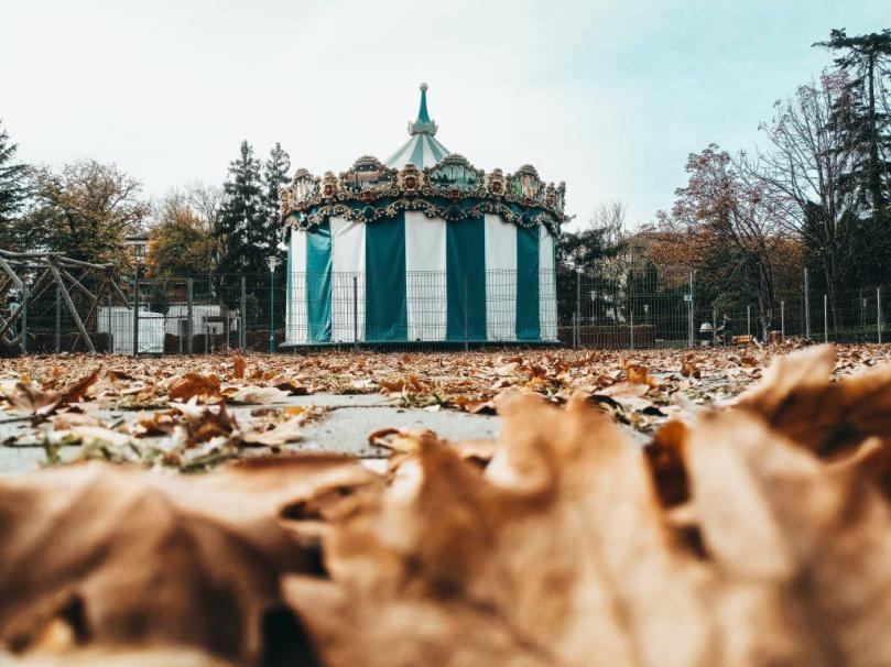 autumn-autumn-leaves-blur-Lăzuran Călin