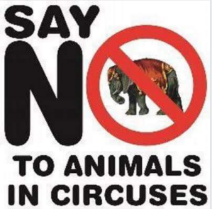 no to animals in circuses