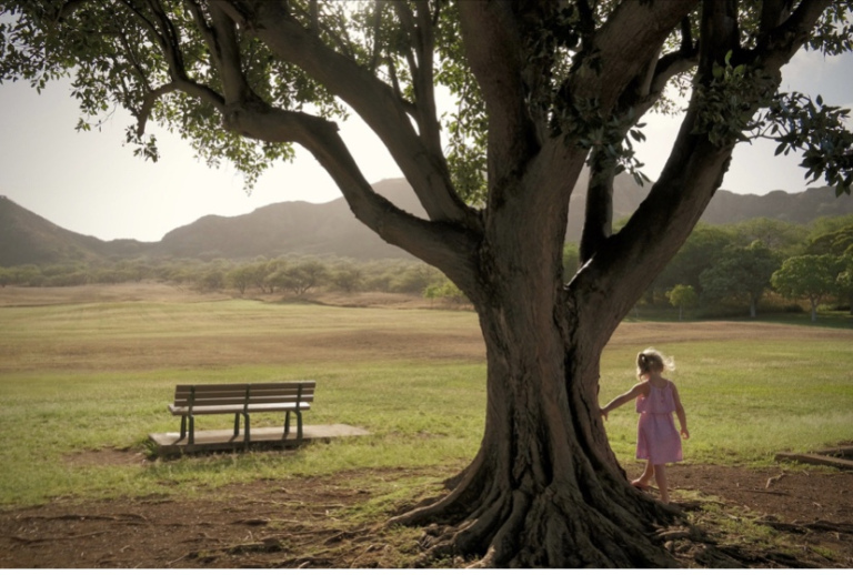 The image shows a young girl standing next to an old sprawling tree in a park. There is an empty bench in front of her.