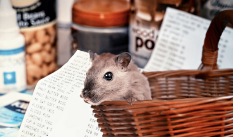 The image shows a tiny mouse sitting in a wicker basket. There are a couple of grocery lists and some dry pantry items in the background.
